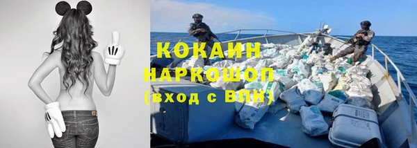 стафф Гусев