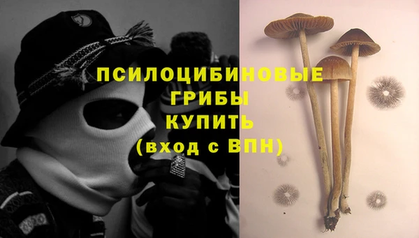 МДПВ Белокуриха