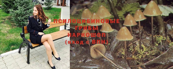бошки Богородск