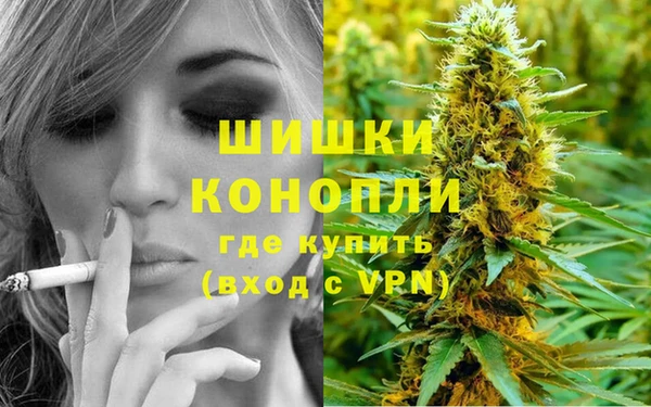 не бодяженный Богданович