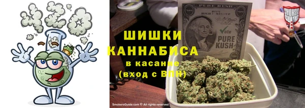 ПСИЛОЦИБИНОВЫЕ ГРИБЫ Гусь-Хрустальный